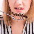 Хапване на живи бръмбари е най-новият лек при тежки болести