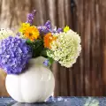 Наръчник на перфектната домакиня - цветя за чист въздух