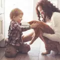 Кои породи котки не се разбират с бебета?