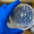 Защо бактериите стават все по-резистентни към антибиотиците?