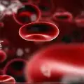 Причини за бавно съсирване на кръвта
