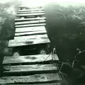 Животът ми се срина
