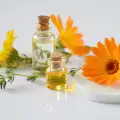Как да преборим гъбичките по ноктите с масло от невен?