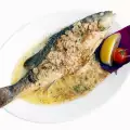 Коя риба в Черно море става за ядене и коя не?