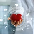 Учени откриха основната причина за внезапното спиране на сърцето