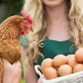 Яйца с повече витамин D снасят кокошки след солариум