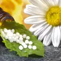 Как да отслабнем с хемеопатия?