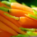Морковен сок с прясно мляко пази от бактерии