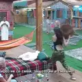 Женски бой в Биг Брадър, участичките са аут от шоуто