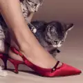 Една ретро тенденция при обувките отново е на мода