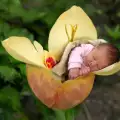 Пазете децата от отровни цветя
