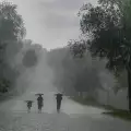 Не зная как да реагирам