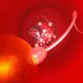 Учени създадоха женска сперма
