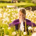 Прекрасната пролет - ужасът за астматиците