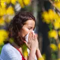 Факти и митове за алергиите
