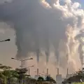 СЗО: Една четвърт от нас умират заради замърсяването по света