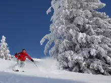 Ски