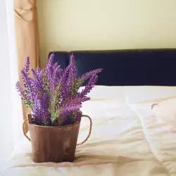 Най-добрите цветови комбинации за спалня