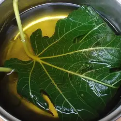 Лечебен сироп от листа от смокини