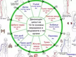 Китайският часовник, който показва от какво ще се разболееш
