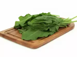 лапад