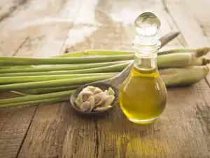 Масло от лимонова трева - ползи и приложение