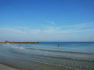 Черно море