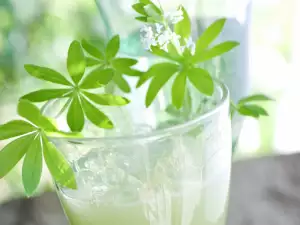 Лазаркиня