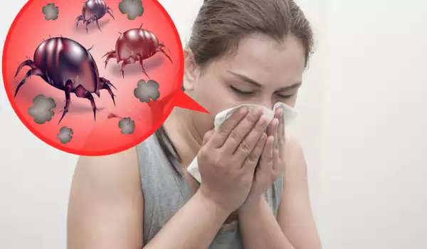 Домашни средства против алергия към прах