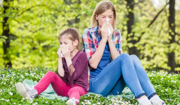 причини за алергия към липов цъфтеж