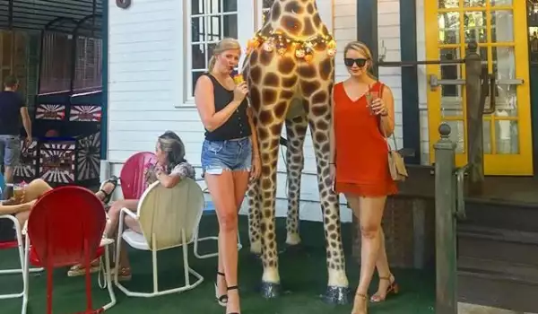 Позирай като бебе жираф, за да си по-висока на снимките