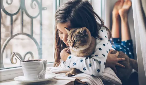 Децата и котките могат да са добри приятели