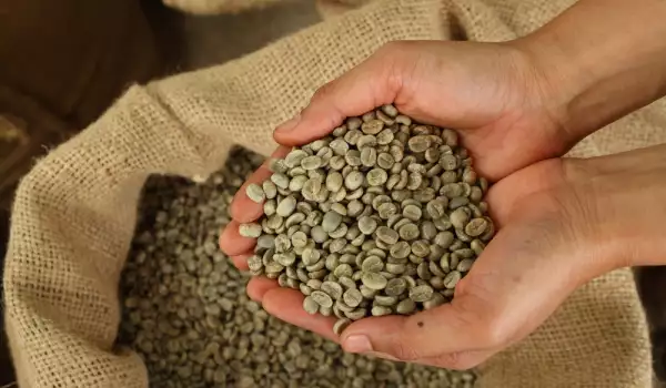 Каква е истината за зеленото кафе?