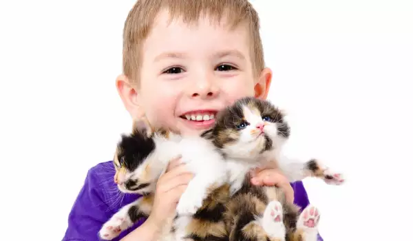 Децата и котките могат да са добри приятели