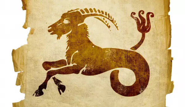 Зодия Козирог