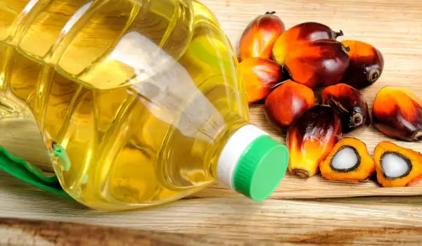 Палмово масло - ползи и вреди за здравето