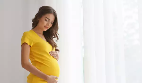 Безопасно ли е да се ядат гъби при бременност?