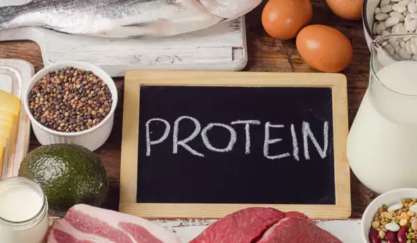 Протеинови храни
