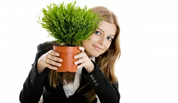 Растенията ви помагат да се справите със стреса и да се развивате