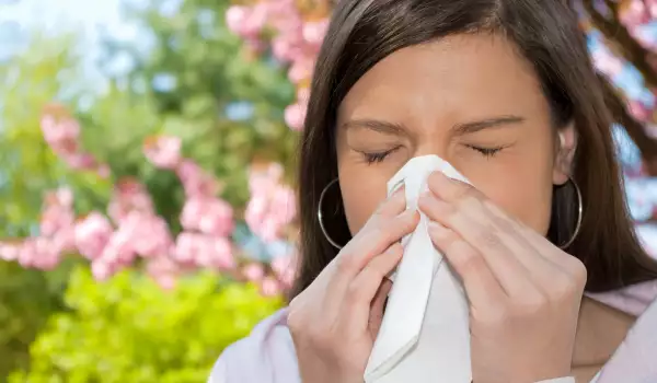 Видове пролетни алергии