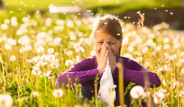 Сезонни алергии