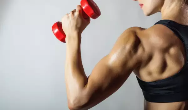 Увеличаване на мускулната маса