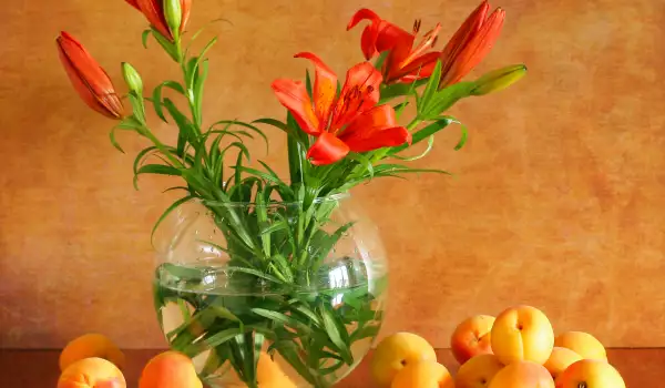 Как по-дълго да съхраните цветята във вазата