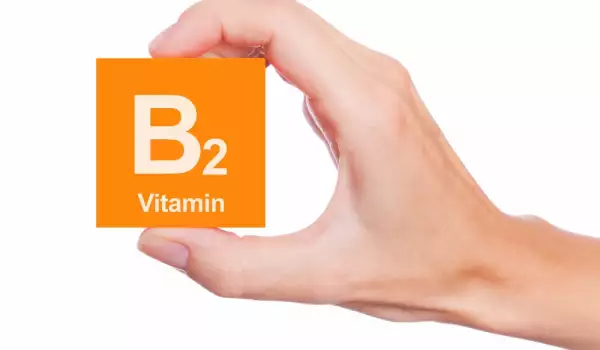 Витамин В2