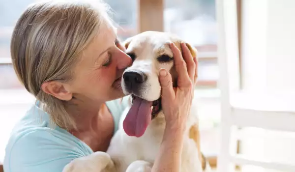 Притежанието на куче може да добави години към живота ви