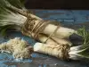 Хрянът - коренът на енергията